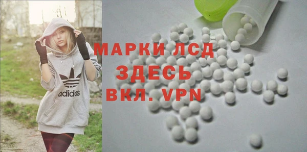 молекула духа Богородицк