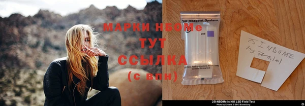 дмт Богданович
