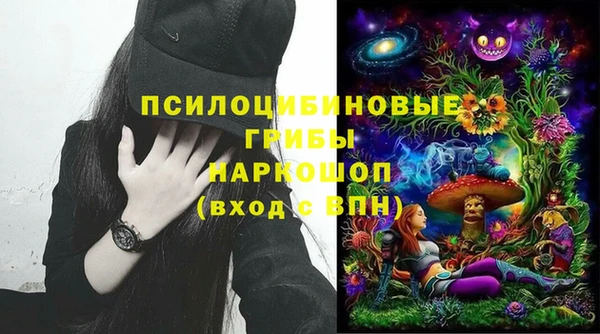 дмт Богданович