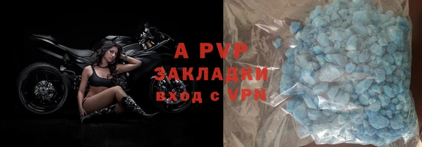 дмт Богданович