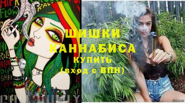 ECSTASY Богородск