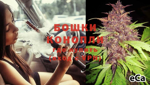 молекула духа Богородицк