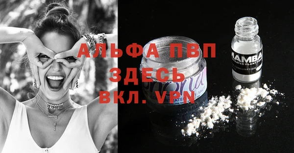 дмт Богданович