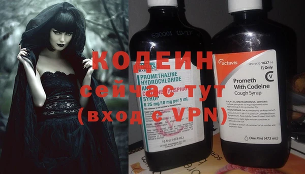 молекула духа Богородицк