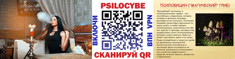 Купить где  Комсомольск  Галлюциногенные грибы Psilocybine cubensis 